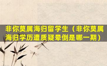 非你莫属海归留学生（非你莫属海归学历遭质疑晕倒是哪一期）