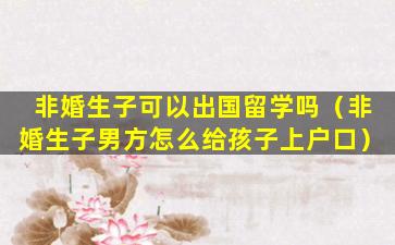 非婚生子可以出国留学吗（非婚生子男方怎么给孩子上户口）
