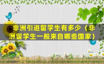 非洲引进留学生有多少（非洲留学生一般来自哪些国家）