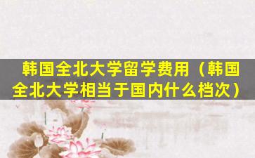 韩国全北大学留学费用（韩国全北大学相当于国内什么档次）