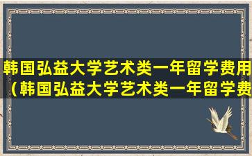 韩国弘益大学艺术类一年留学费用（韩国弘益大学艺术类一年留学费用是多少）