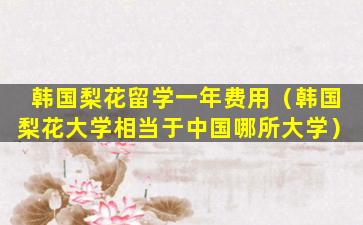 韩国梨花留学一年费用（韩国梨花大学相当于中国哪所大学）