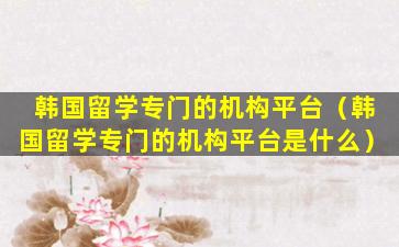 韩国留学专门的机构平台（韩国留学专门的机构平台是什么）