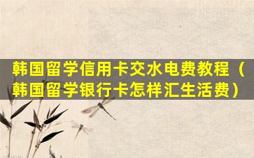 韩国留学信用卡交水电费教程（韩国留学银行卡怎样汇生活费）