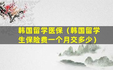 韩国留学医保（韩国留学生保险费一个月交多少）