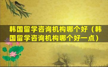 韩国留学咨询机构哪个好（韩国留学咨询机构哪个好一点）