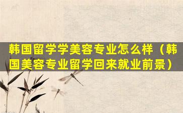 韩国留学学美容专业怎么样（韩国美容专业留学回来就业前景）