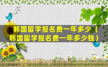 韩国留学报名费一年多少（韩国留学报名费一年多少钱）