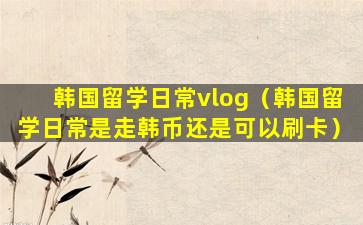 韩国留学日常vlog（韩国留学日常是走韩币还是可以刷卡）