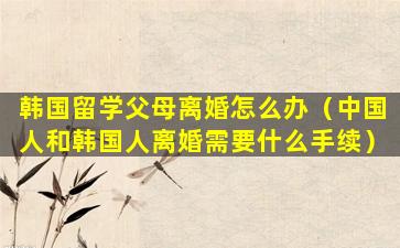 韩国留学父母离婚怎么办（中国人和韩国人离婚需要什么手续）