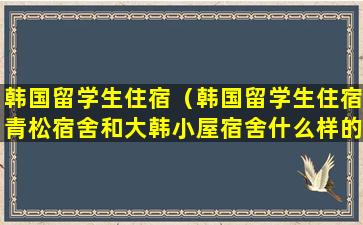 韩国留学生住宿（韩国留学生住宿青松宿舍和大韩小屋宿舍什么样的）