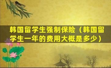 韩国留学生强制保险（韩国留学生一年的费用大概是多少）