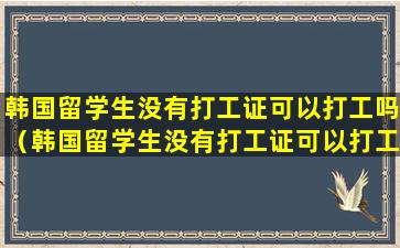 韩国留学生没有打工证可以打工吗（韩国留学生没有打工证可以打工吗知乎）