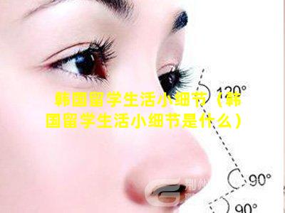 韩国留学生活小细节（韩国留学生活小细节是什么）