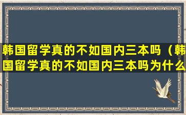 韩国留学真的不如国内三本吗（韩国留学真的不如国内三本吗为什么）