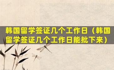 韩国留学签证几个工作日（韩国留学签证几个工作日能批下来）