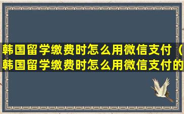 韩国留学缴费时怎么用微信支付（韩国留学缴费时怎么用微信支付的）