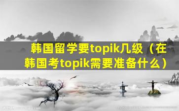 韩国留学要topik几级（在韩国考topik需要准备什么）