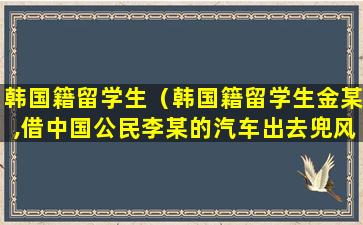 韩国籍留学生（韩国籍留学生金某,借中国公民李某的汽车出去兜风）