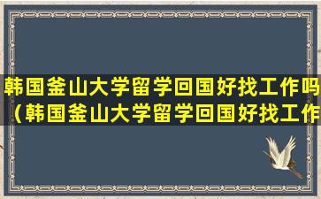 韩国釜山大学留学回国好找工作吗（韩国釜山大学留学回国好找工作吗知乎）