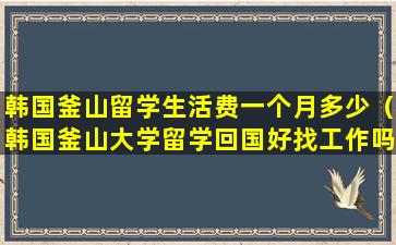 韩国釜山留学生活费一个月多少（韩国釜山大学留学回国好找工作吗）