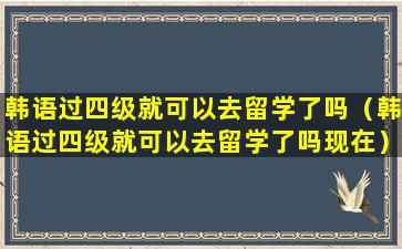韩语过四级就可以去留学了吗（韩语过四级就可以去留学了吗现在）