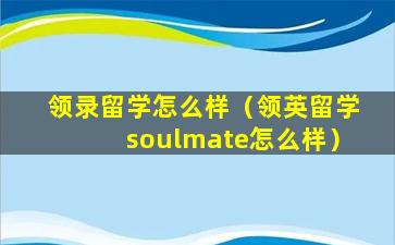领录留学怎么样（领英留学soulmate怎么样）