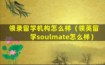 领录留学机构怎么样（领英留学soulmate怎么样）