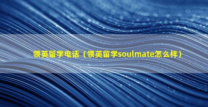 领英留学电话（领英留学soulmate怎么样）