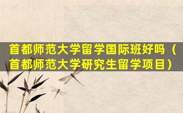 首都师范大学留学国际班好吗（首都师范大学研究生留学项目）