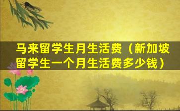 马来留学生月生活费（新加坡留学生一个月生活费多少钱）