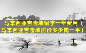 马来西亚吉隆坡留学一年费用（马来西亚吉隆坡房价多少钱一平）