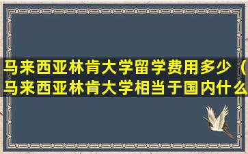 马来西亚林肯大学留学费用多少（马来西亚林肯大学相当于国内什么大学）