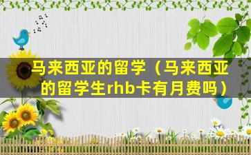 马来西亚的留学（马来西亚的留学生rhb卡有月费吗）