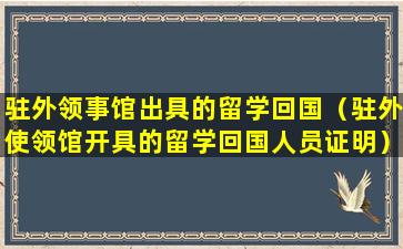 驻外领事馆出具的留学回国（驻外使领馆开具的留学回国人员证明）
