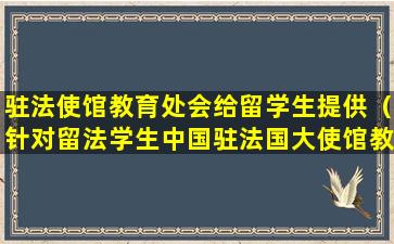 驻法使馆教育处会给留学生提供（针对留法学生中国驻法国大使馆教育处会定期举办招待会）