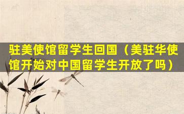 驻美使馆留学生回国（美驻华使馆开始对中国留学生开放了吗）