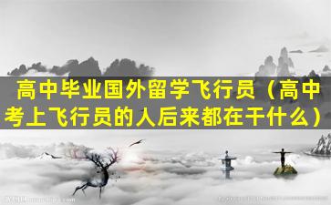 高中毕业国外留学飞行员（高中考上飞行员的人后来都在干什么）