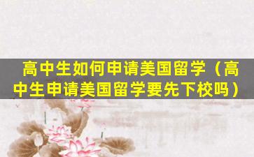 高中生如何申请美国留学（高中生申请美国留学要先下校吗）