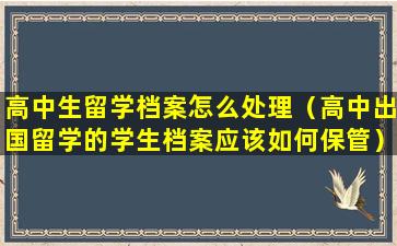 高中生留学档案怎么处理（高中出国留学的学生档案应该如何保管）