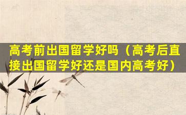 高考前出国留学好吗（高考后直接出国留学好还是国内高考好）