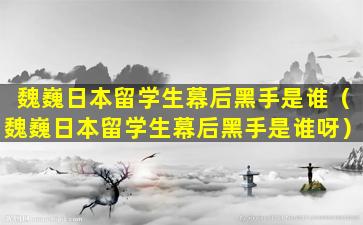魏巍日本留学生幕后黑手是谁（魏巍日本留学生幕后黑手是谁呀）