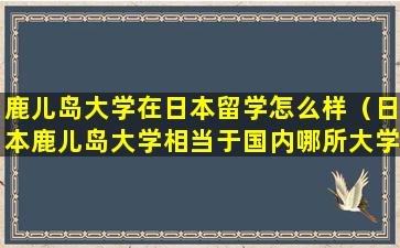 鹿儿岛大学在日本留学怎么样（日本鹿儿岛大学相当于国内哪所大学）