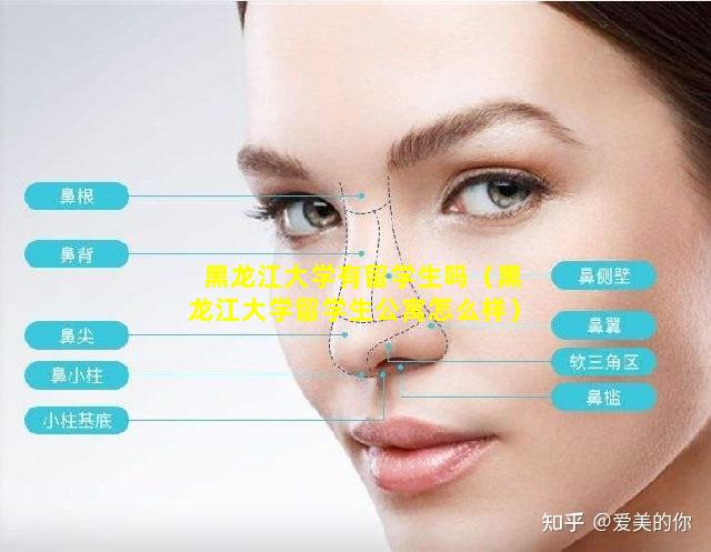 黑龙江大学有留学生吗（黑龙江大学留学生公寓怎么样）