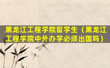 黑龙江工程学院留学生（黑龙江工程学院中外办学必须出国吗）