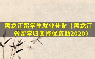 黑龙江留学生就业补贴（黑龙江省留学归国择优资助2020）