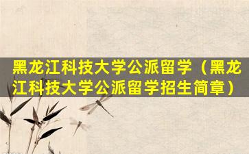 黑龙江科技大学公派留学（黑龙江科技大学公派留学招生简章）